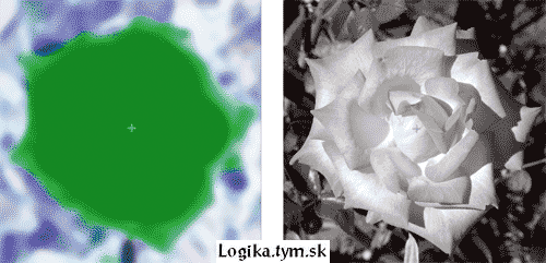 10n-Pink_rose.gif
