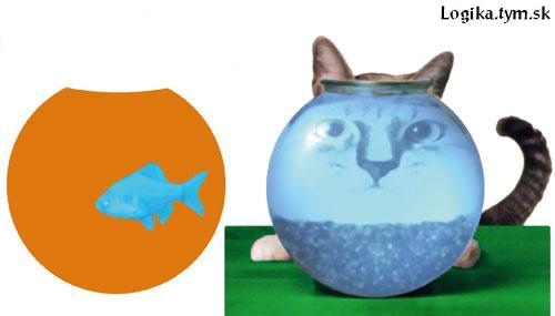 284-Fish_and_cat.jpg